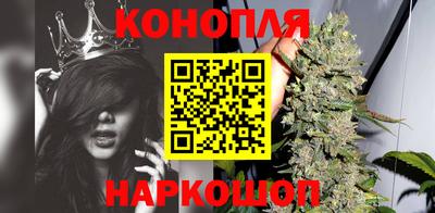 мяу мяу мука Беслан