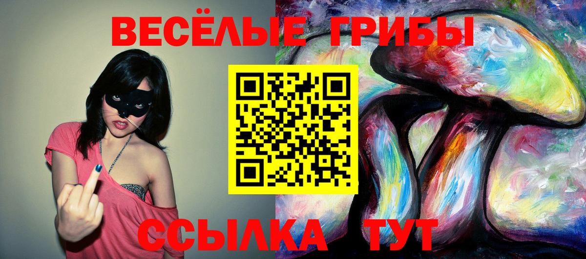 Псилоцибиновые грибы мицелий Балашиха