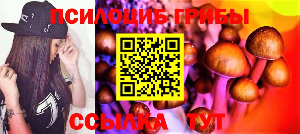 Балашиха  Галлюциногенные грибы мухоморы  наркота  Вход с VPN 